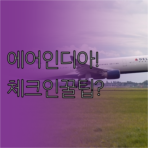에어인디아 비행기 탑승 전 꼭 알아야..