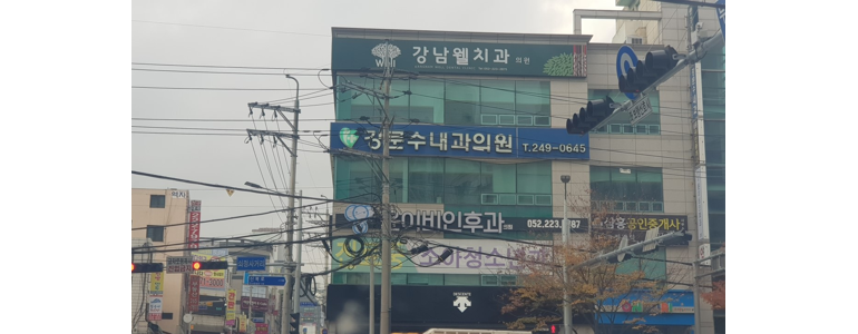 울산 남구 고지혈증