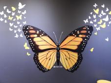 함평나비대축제