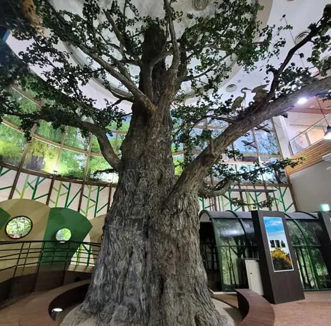 충청남도산림박물관