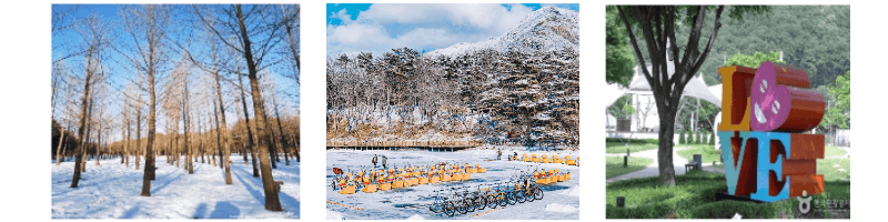 남이섬-포천산정호수-장흥아트파크