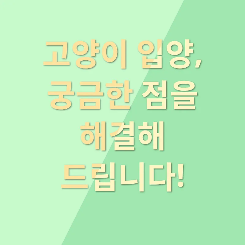 안전한 고양이 입양_4