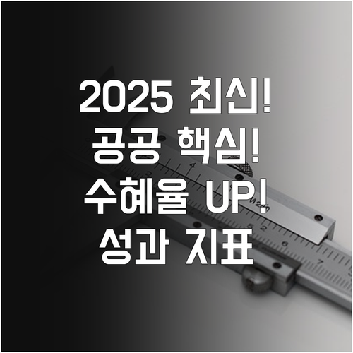 2025 공공 정보의 실질 수혜율 높..