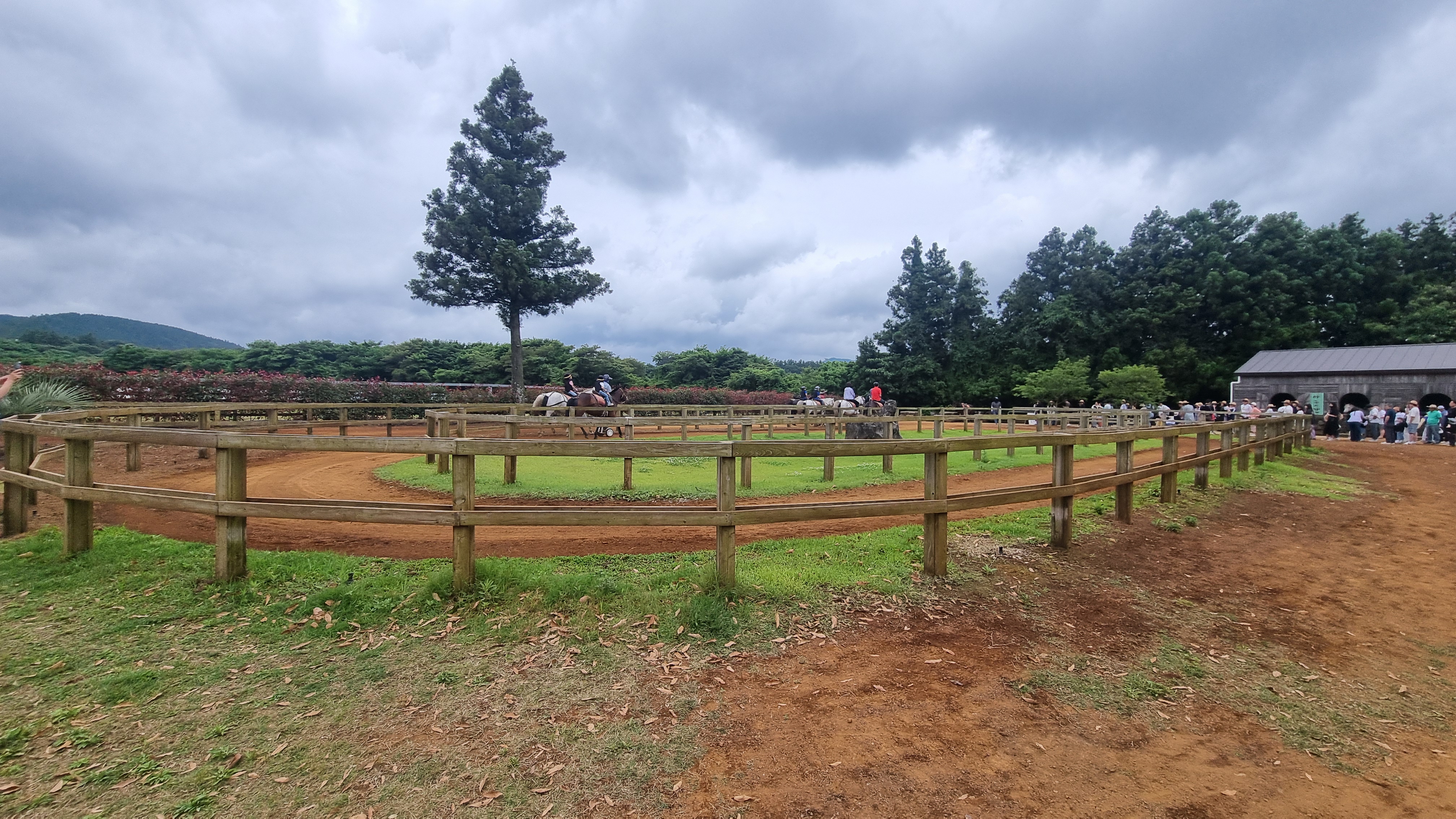 제주 목장카페 밭디