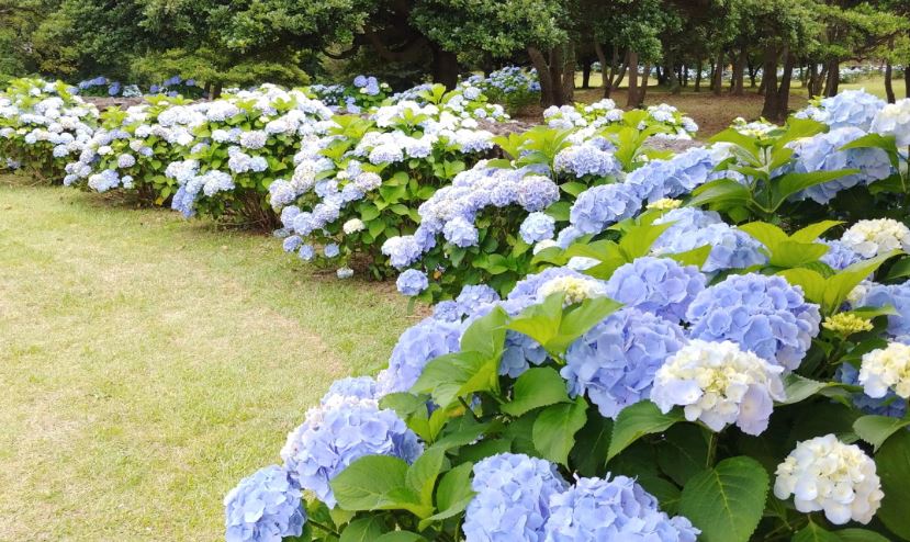 서귀포 가볼만한곳 베스트10