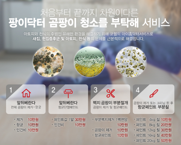 코헬건축기술 곰팡이제거 