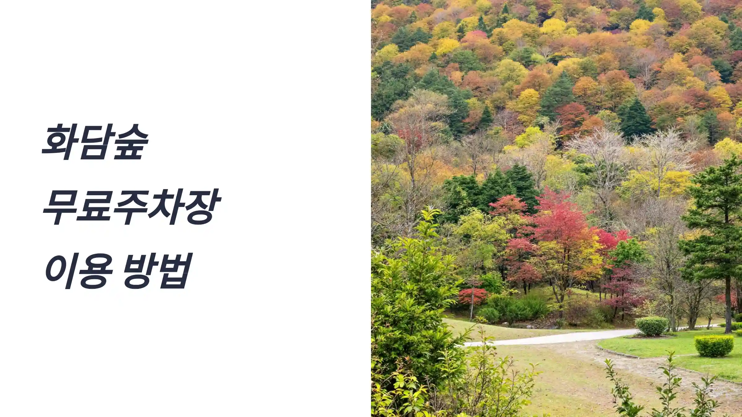 화담숲 무료주차장, 오르막 주차장, 내리막 주차장, 곤지암 리조트 주차장, 화담숲 온라인 예매