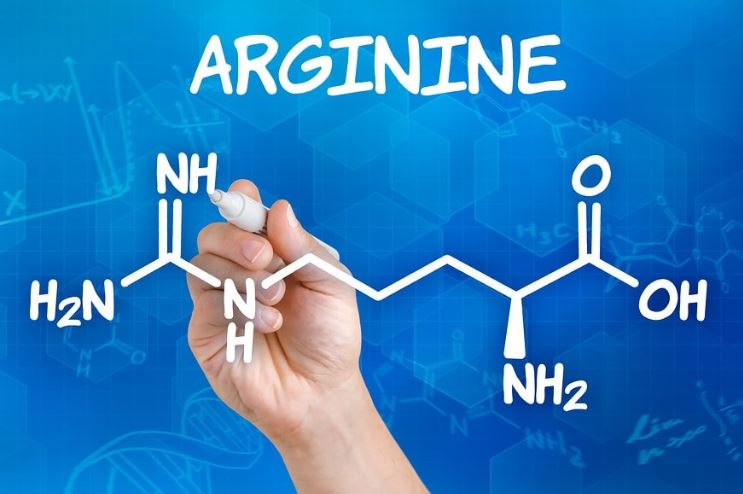 아르기닌의-효능