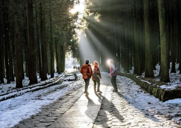 제주도 겨울 트레킹 명소 BEST 5&amp;#44; 한라산&middot;절물&middot;사려니&middot;비자림&middot;용머리해안 코스 정리