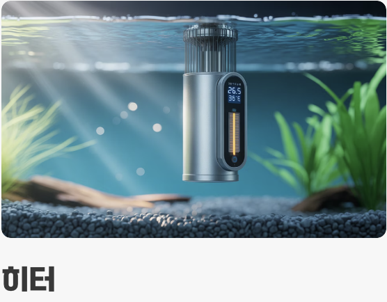 플래티를 위한 아늑한 집 꾸미기