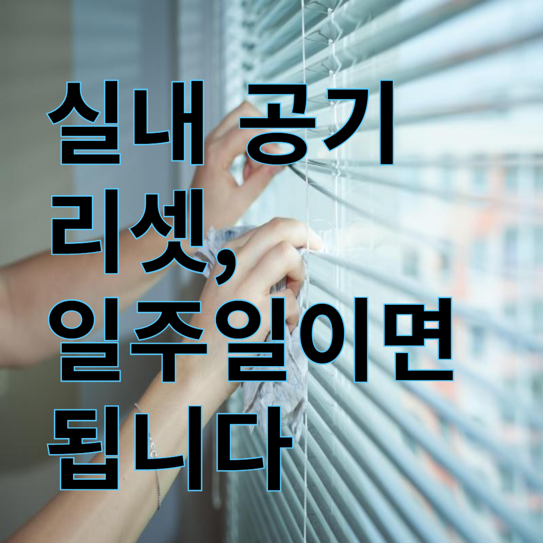 실내 공기 리셋하는 일주일 루틴 정리 [7편]
