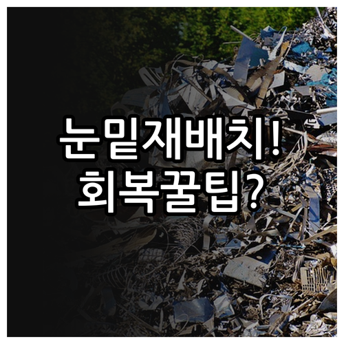 직장인을 위한 눈밑 지방 재배치 회복..
