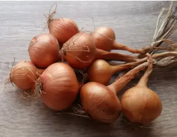 양파즙 효능 및 영양성분, 주의점