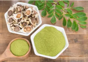 모링가 효능 및 영양성분, 주의점