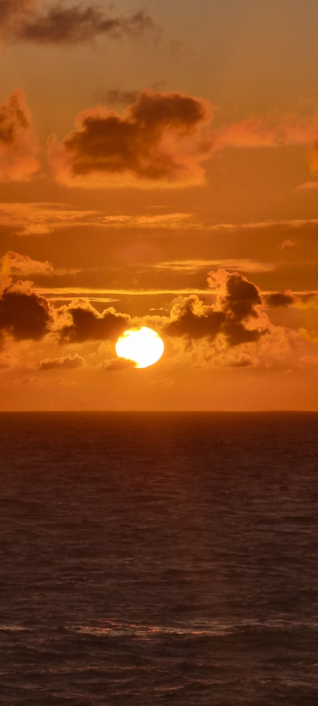 2026 한라산 새해 일출 예약 성공법