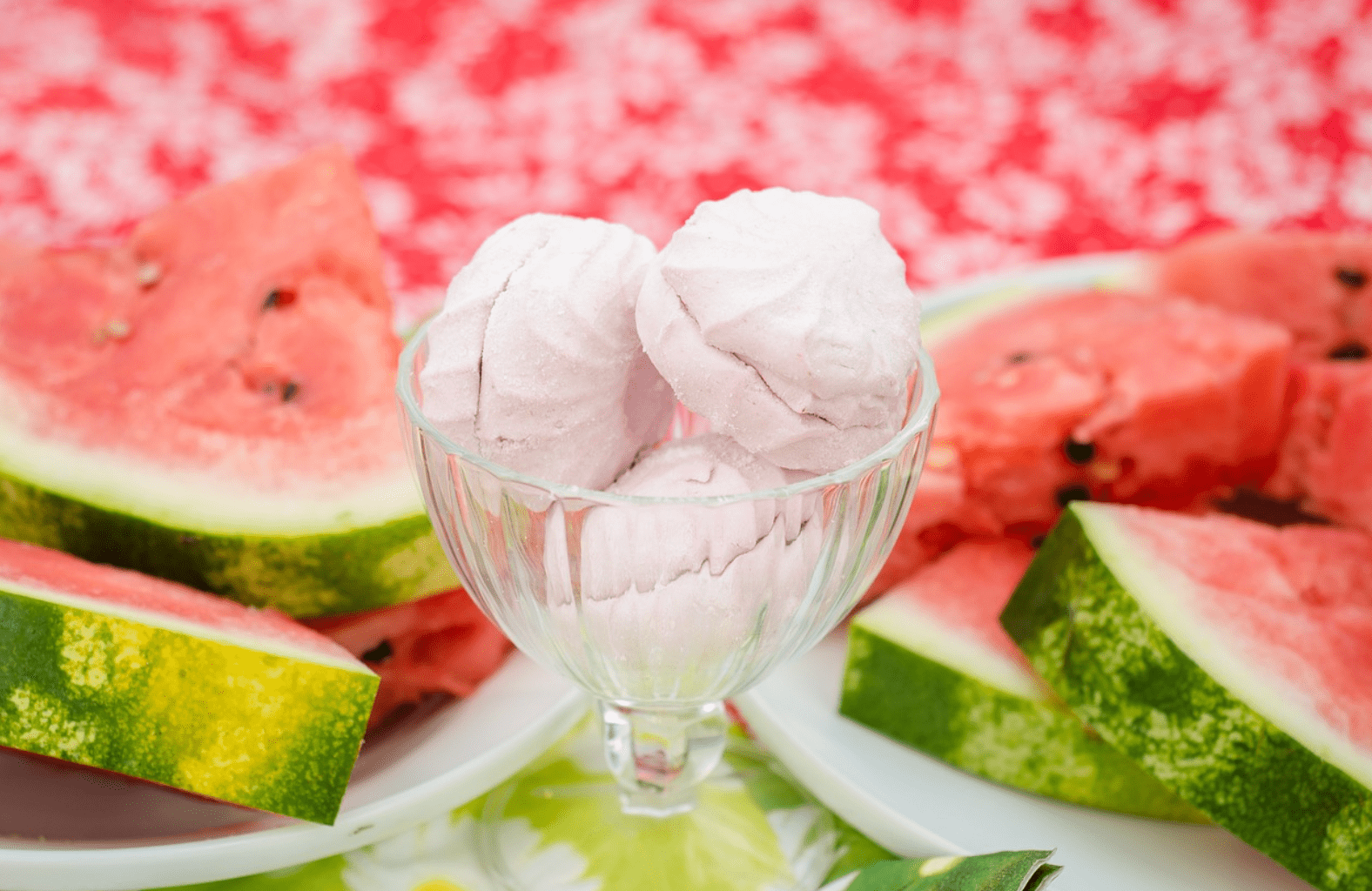 수박 소르베