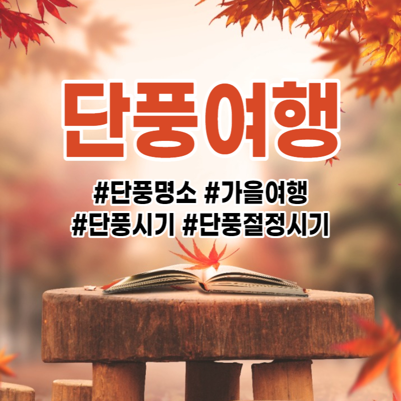 단풍여행