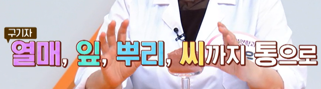 홍국 발효 구기자 효능