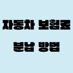 자동차 보험 분납 방법