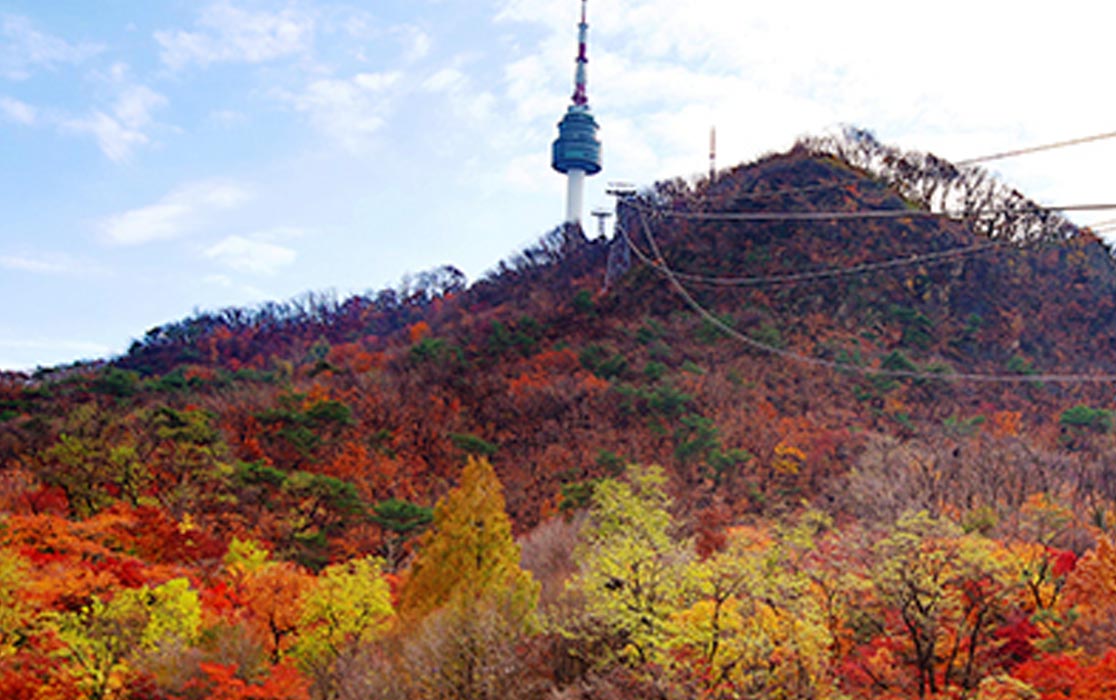 2023-서울-단풍명소