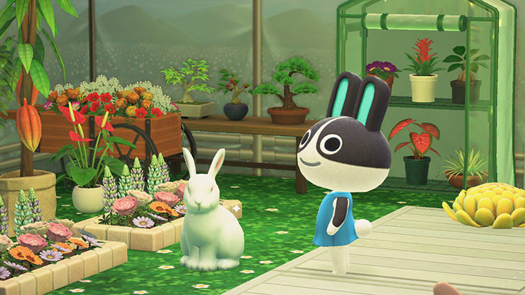 서머 식물로 둘러싸인 생활 모동숲 해피홈 파라다이스 인테리어