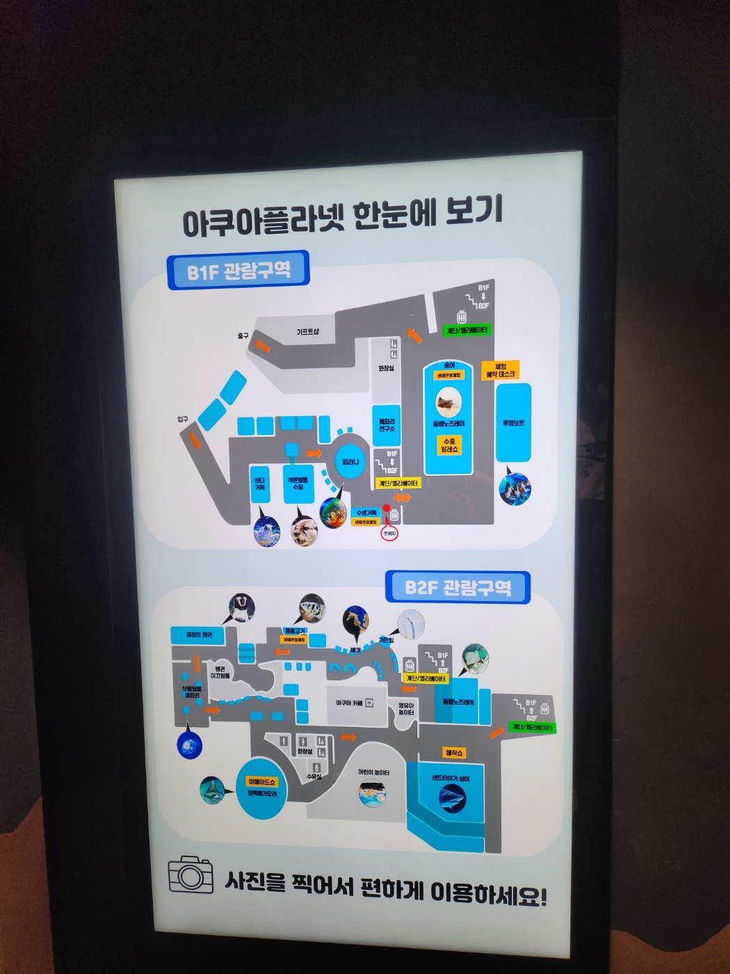 아쿠아플라넷 한눈에 보기