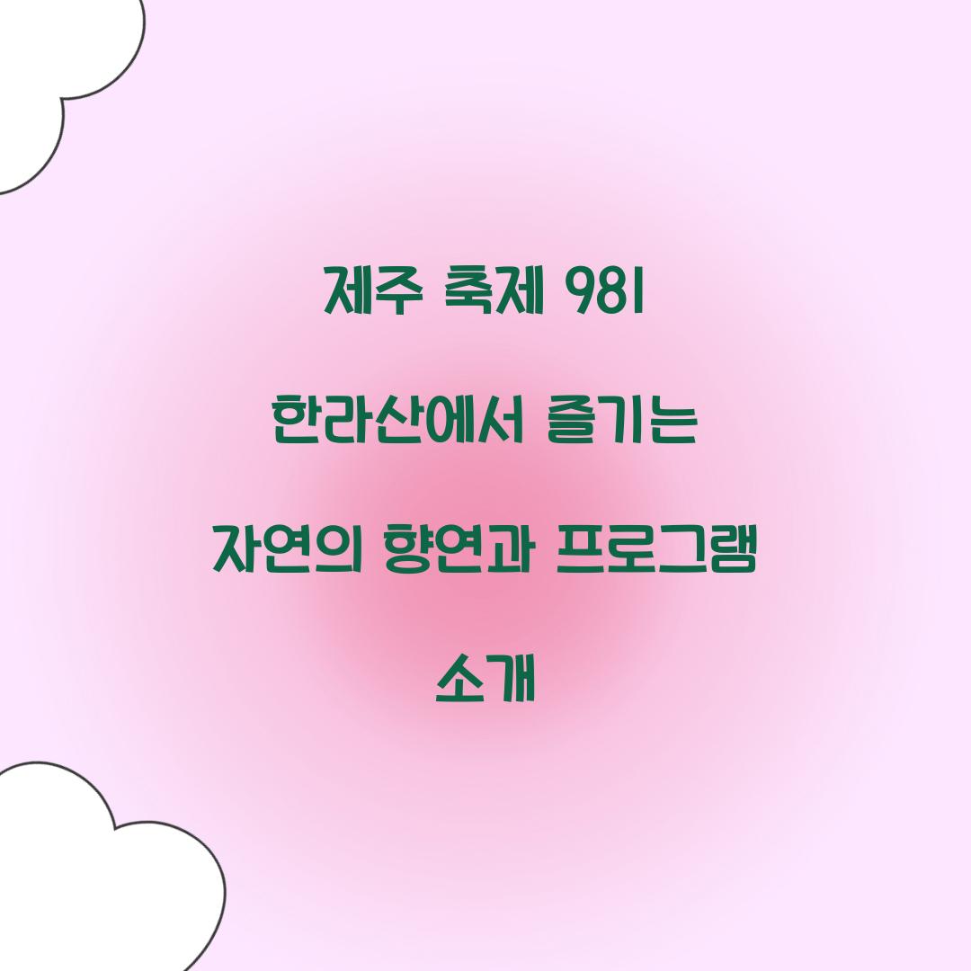 제주 축제 981 한라산