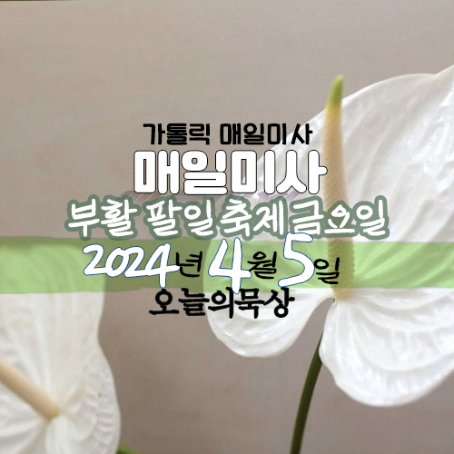 2024년 4월 5일 매일미사