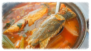 단양 강천쏘가리 매운탕 본점