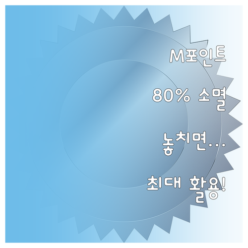 현대카드 M포인트 잔여 조회와 효율적..