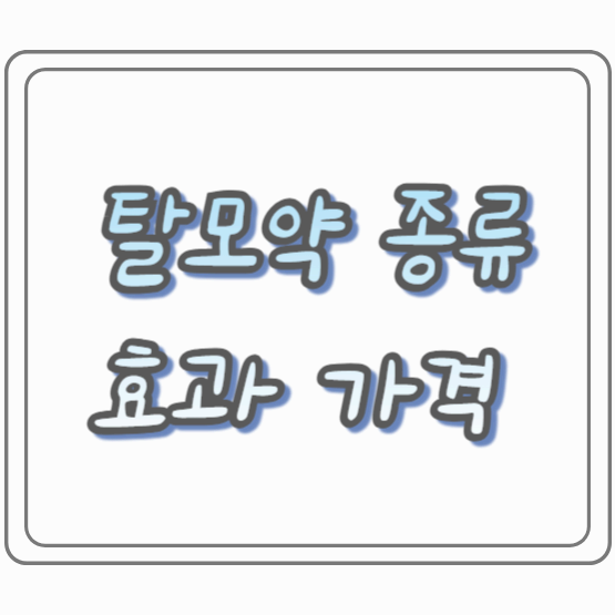 탈모약 종류 효과 가격