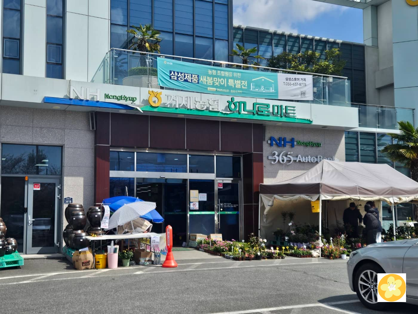 하나로농협마트 거제점 식물판매