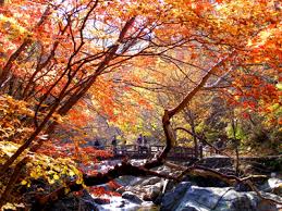 10월 아름다운 단풍산행지