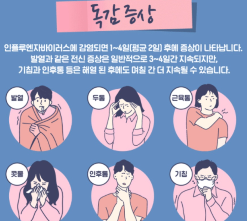 독감 관련 사진