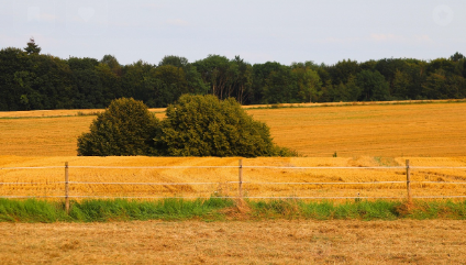 주말농장 준비물 관련 사진