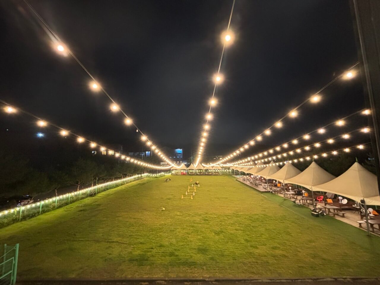 생방송투데이 오늘도 달린다! 청년 사장 경기 포천 20대 애견 카페 사장 편 뽀야네 딩가댕가 생방송투데이 3779회