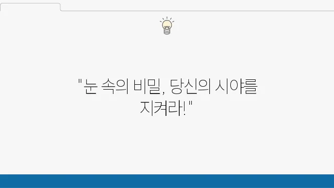 비문증 날파리증 원인 치료 냸 시원