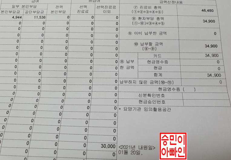 멍울 실손 청구