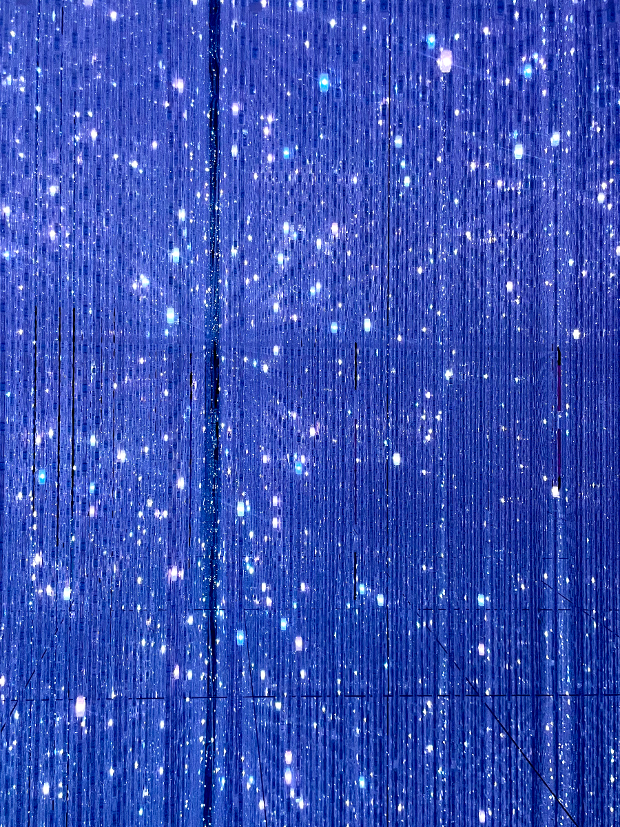 일본 도쿄 팀랩 플래닛 여행-생명은 결정화된 덧없는 빛