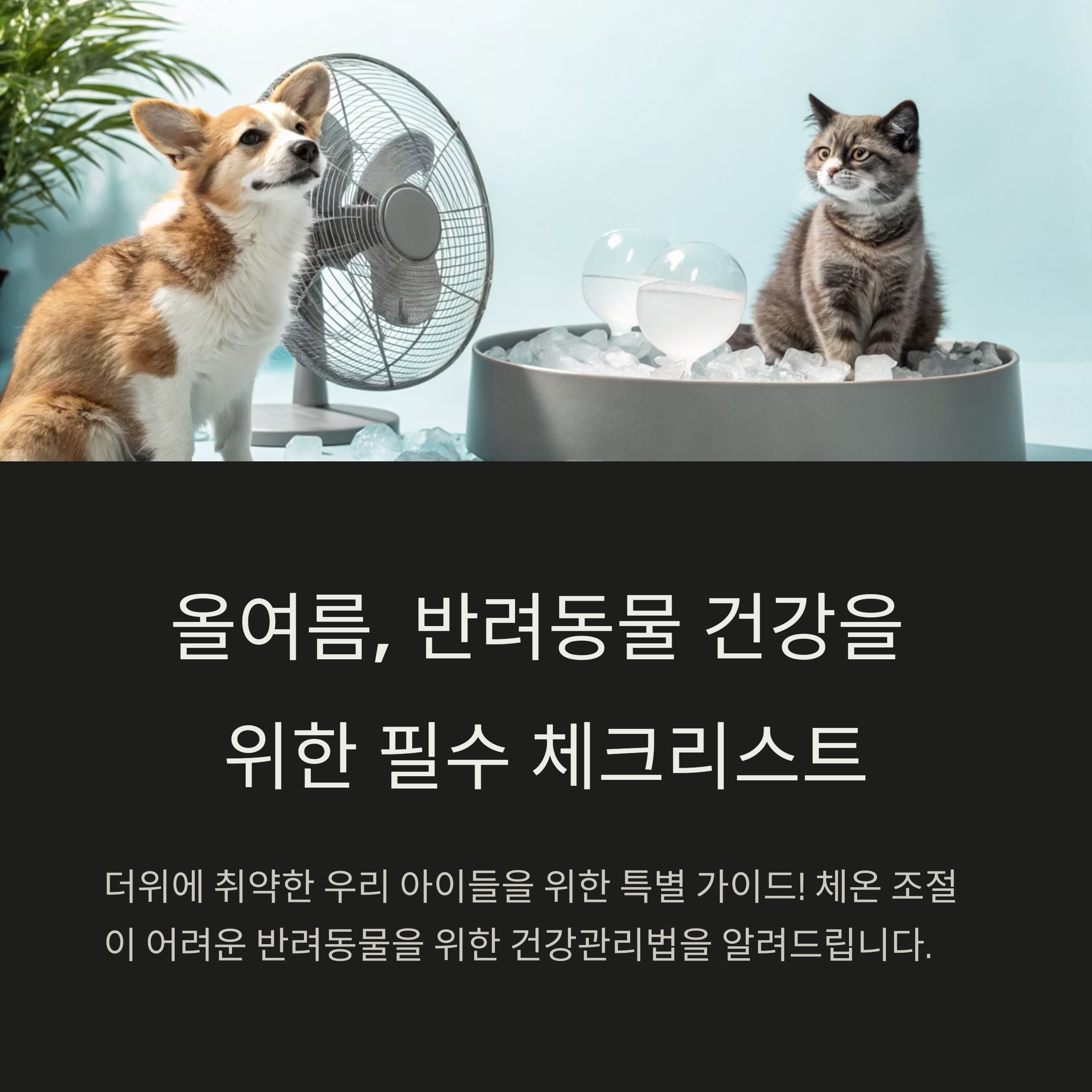 반려동물