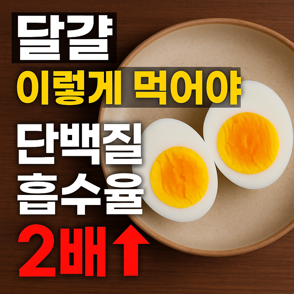 달걀 단백질