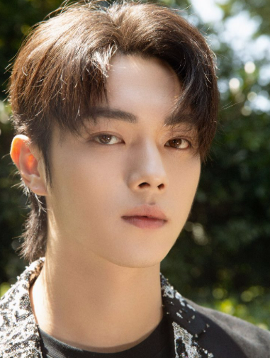 중국드라마 추천 &ndash; 허개(쉬카이) 대표작