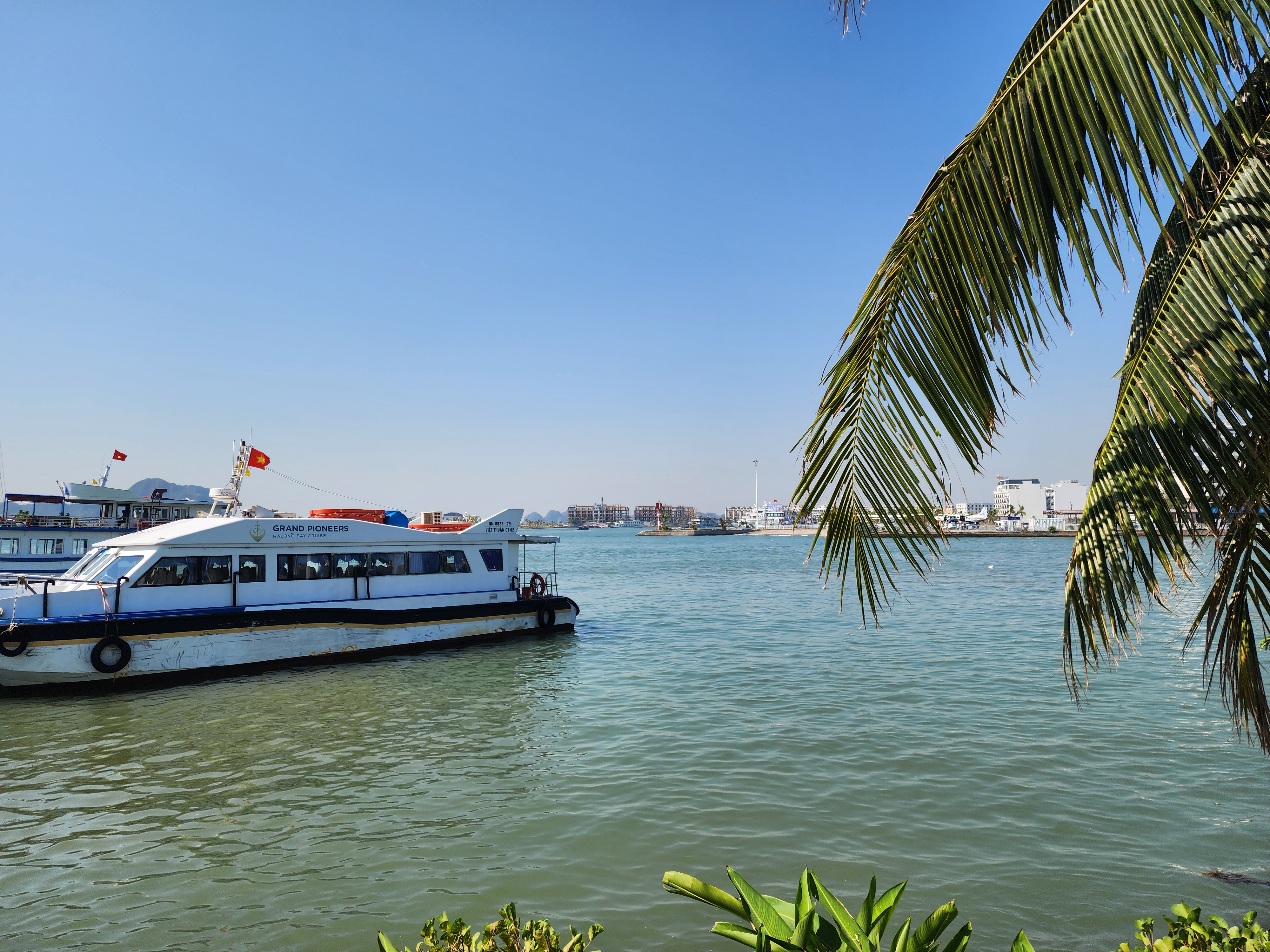 그랜드 파이어니스