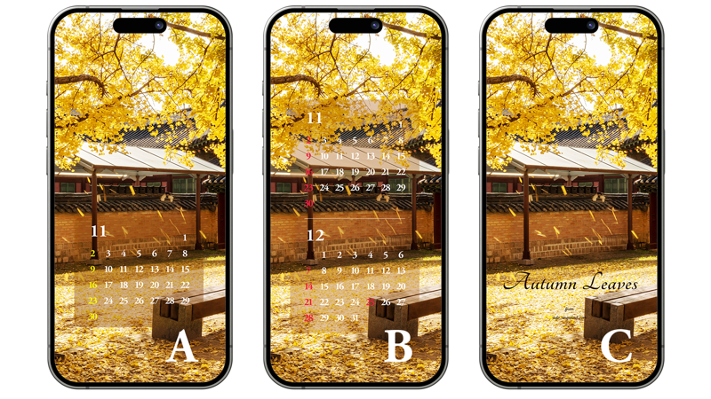 04 바람에 떨어지는 나뭇잎 ABC - 2025년11월 아이폰배경화면