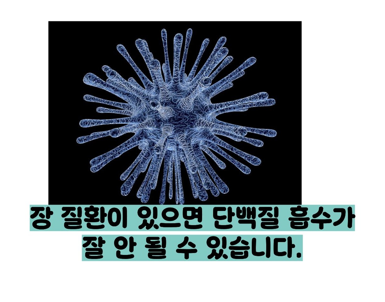 알부민 수치 낮으면