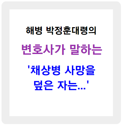채상병 사망을 덮은 자