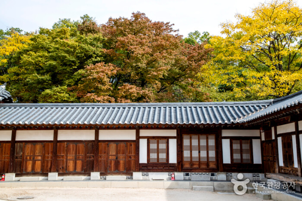경복궁 야간개장