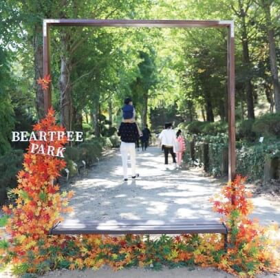 베어트리파크 단풍축제