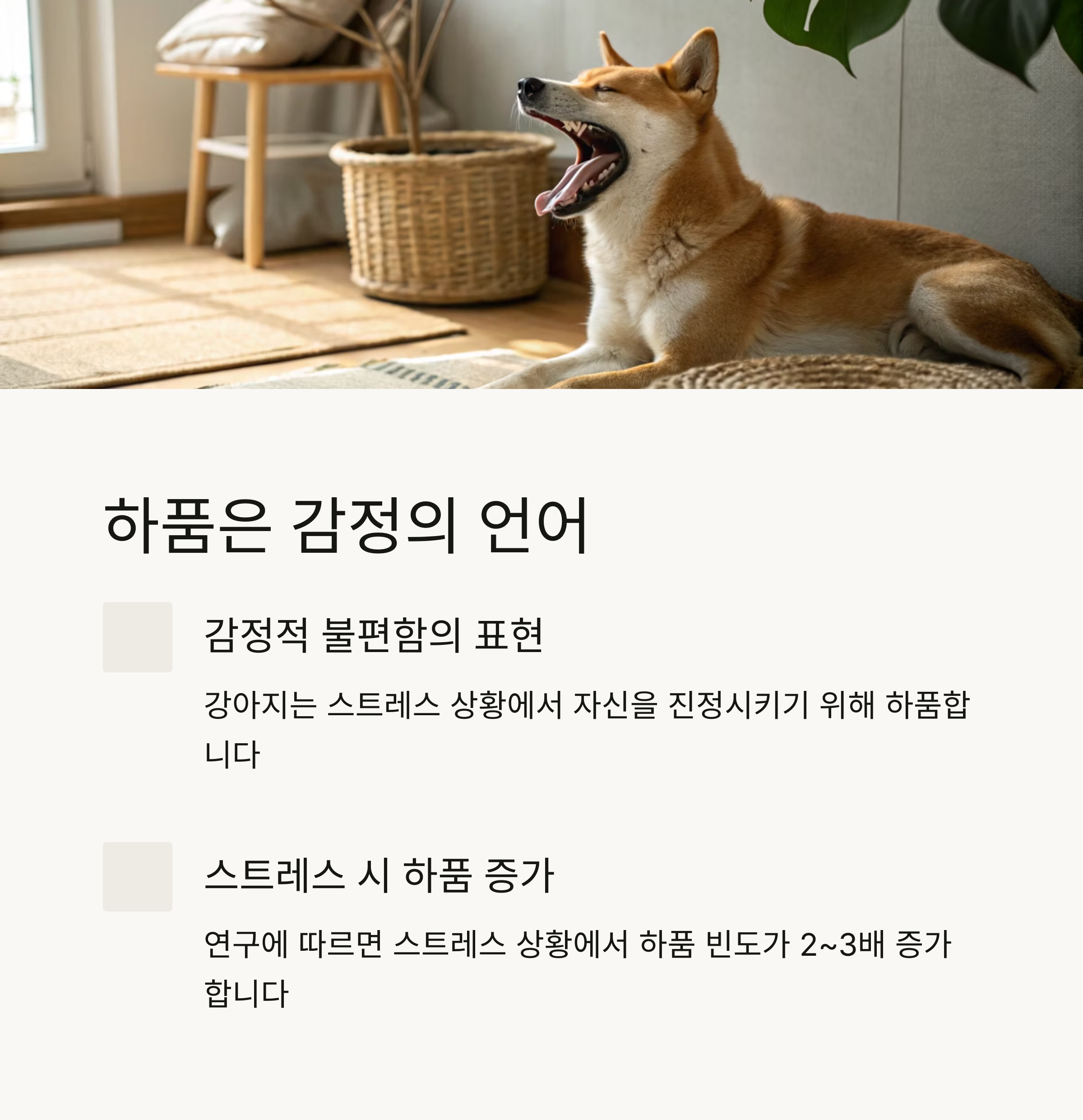 하품은 감정의 언어