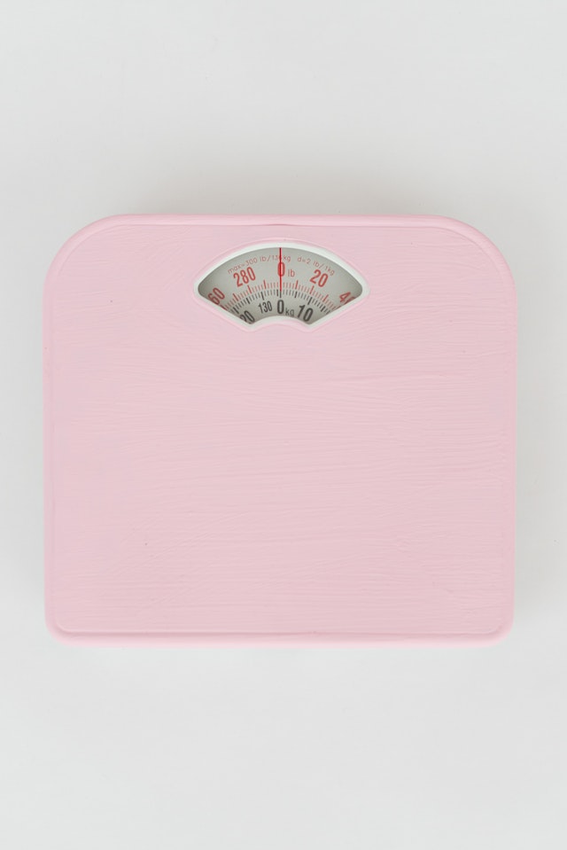 기초대사량 계산기